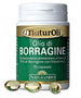 Olio di borragine 70cps