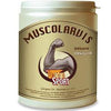 Muscolarvis vitaminsport vanig