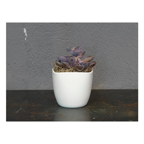 Vasi In Plastica Per Interni Corino Bruna 37/M9 - Sandy Bowl, Leggeri E Resistenti, Colore Moka, Diametro 37 Cm