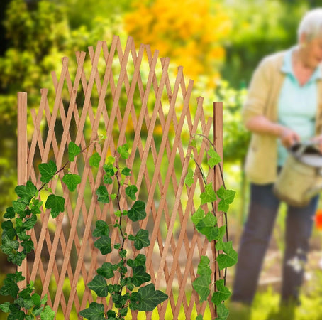 Recinzione in Legno Abete Estensibile da Giardino Divisorio Fioriera Naturale