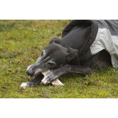 Corna di cervo a metà per cani da masticare