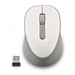 NGS MOUSE WIRELESS BIANCO 2 PULSANTI E ROTELLA DI SCORRIMENTO