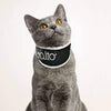 Collare Rigido ortopedico per gatto Bt Neck