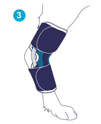 Tutore del Garretto per cani Bt Hock