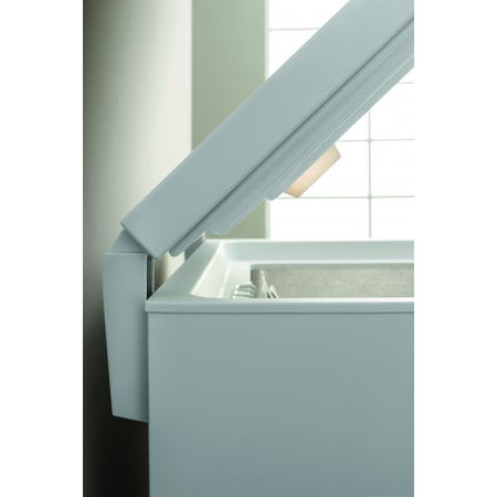 Indesit Congelatore A Pozzetto 315lt E Bianco Os 2a 300 H