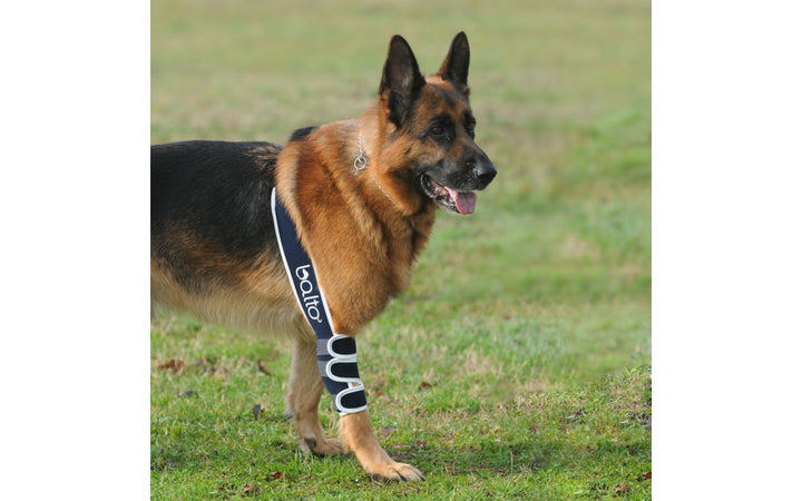 Bt Soft Tutore Gomito