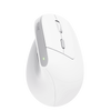 TRUST MOUSE BAYO II ERGONOMICO WIRELESS, BIANCO
