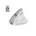 TRUST MOUSE BAYO II ERGONOMICO WIRELESS, BIANCO
