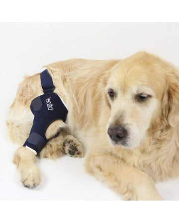 Tutore Ginocchio per cani Bt JUmp