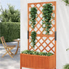 Fioriera Legno Frangivista Esterno con Grigliato per Piante Rampicanti 72x32H150cm