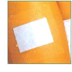 Cer curapor ster trasp 10x8