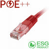Cablenet 60-2003B cavo di rete Rosso 0,3 m Cat6 U/UTP [UTP] (CNL 100PK 0.3M C6 Rd UTP PVC 24AWG FMB)