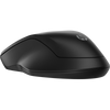 255 Dual Wireless Mouse