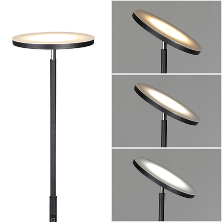 Lampada Piantana Led Dimmerabile 30W 2500LM Telecomando e Luce Regolabile H175cm