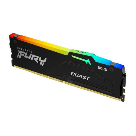 Kingston Technology FURY Beast 16GB 6000MT/s DDR5 CL36 DIMM RGB EXPO (16GB DDR5 6000MTS CL36 RGB)