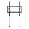 Basic Medium Wall Mount with