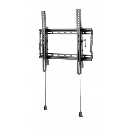 Basic Medium Wall Mount with