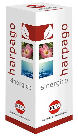 Harpago sinergico gtt 100ml ko