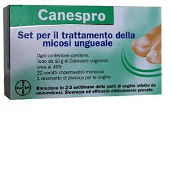 Canespro kit micosi ungueale