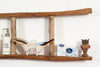 Biscottini Scala in legno 40x8x150 cm dimensioni Riproduce fedelmente L40xPR8xH150