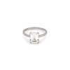 24KAE JEWELS JEWELRY Mod. 12409S/52