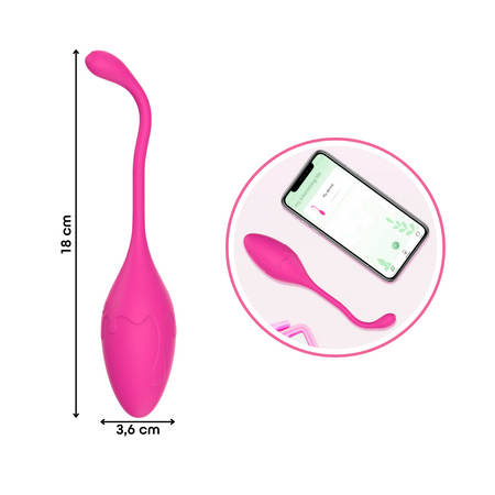 Ovetto Vibrante con App Vibratore Vaginale Indossabile Sex Toy per Coppia USB