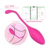 Ovetto Vibrante con App Vibratore Vaginale Indossabile Sex Toy per Coppia USB