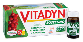 Vitadyn sostegno 10fl 10 s gin