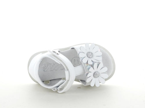 ASSO AG17310 SANDALO BIMBA E RAGAZZA