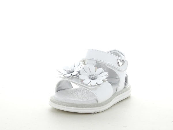 ASSO AG17310 SANDALO BIMBA E RAGAZZA