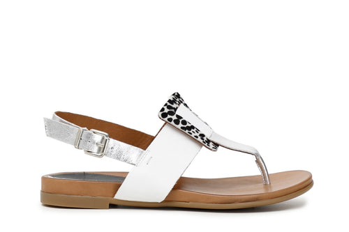 INFRADITO IN CAVALLINO LEOPARDATO