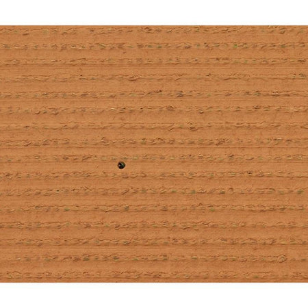 Erba - EXELGREEN - 124414 - Natura 2D - 38 mm / 1 x 5 m