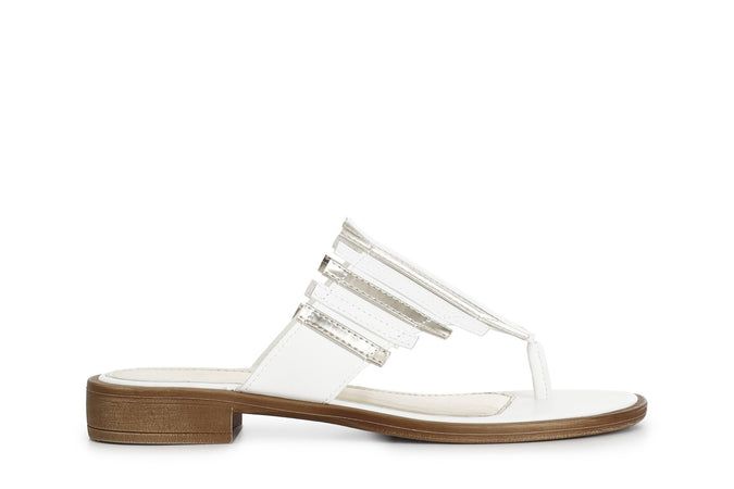 INFRADITO CON TOMAIA MULTI LISTINI