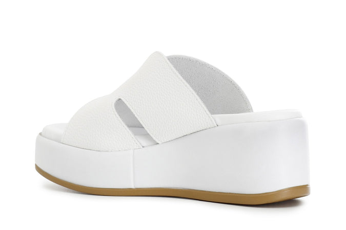 CIABATTA SU FONDO ZEPPA