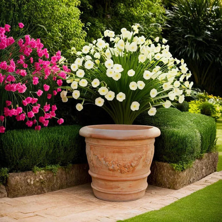 Biscottini Vaso Terracotta Galestro Biscottini 50x44 Fatto a Mano Made in Italy Toscana