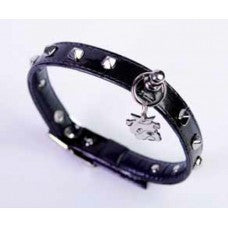 Collare nero per cani in ecopelle con borchie quadrate Pet Follie