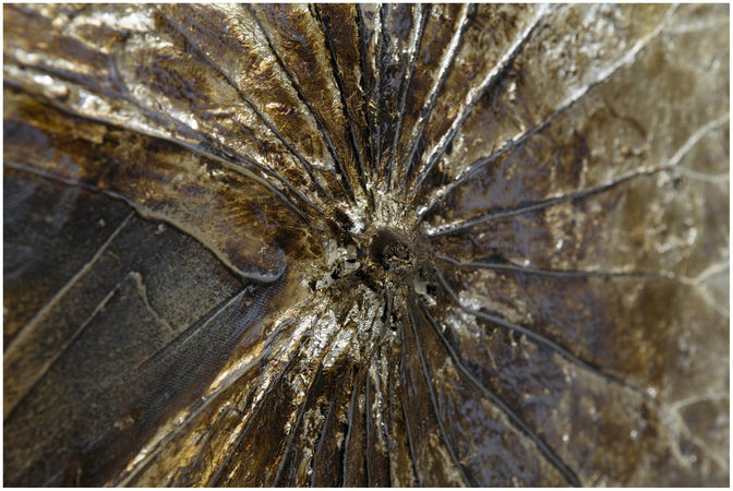 Biscottini Biscottini Dipinto Olio Tela CONCHIGLIE 150x100 Moderno Quadro Testata Letto