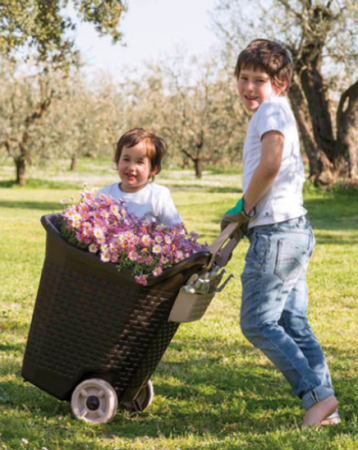 CESTA CARRIOLA TROLLEY CON RUOTE KART BAMA CM. 59X50X72 LT. 76