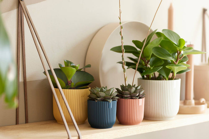 Vaso "Vibes Fold Round" in plastica riciclata, per esterno, stile moderno