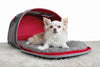 Trasportino per cani 2 in 1 Kong Pet Carrier