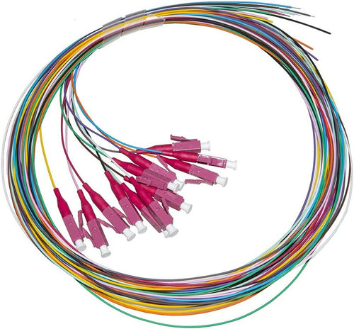 Cassetta di Giunzione Attrezzata con 12 Pigtail Fibra Multimodale OM4 LC 50/125 2m