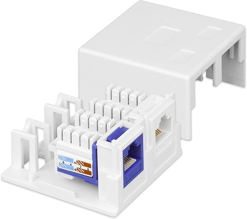 Presa a Muro per 2 Frutti Keystone Bianco