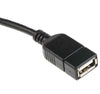 Cavo USB 2.0 OTG A Femmina / Micro B Maschio 0.2 m