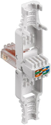 Plug Cat.6 RJ45 Toolless con Copriconnettore