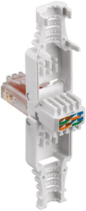 Plug Cat.6 RJ45 Toolless con Copriconnettore