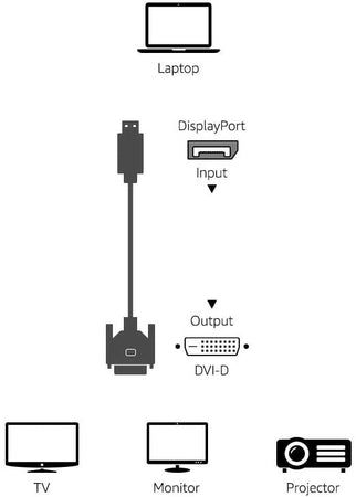 Cavo Monitor DisplayPort Maschio a DVI Maschio Passivo 1m Nero
