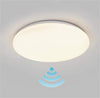 Plafoniera LED Intelligente WiFi Dimmerabile Soffitto Alexa, R5111