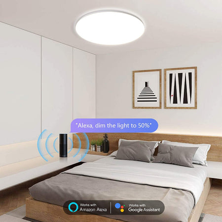 Plafoniera LED Intelligente WiFi Dimmerabile Soffitto Alexa, R5111