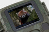Camera Wild 1080P 12MP IP56 PIR IR 18m per Osservazione Fauna, TX-117
