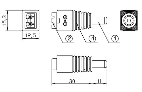 Adattatore Plug DC 2.5x5.5 mm Maschio Terminal Block 2 pin